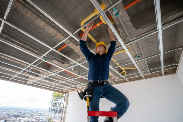Best Local Plumber Services  in Lecanto, FL