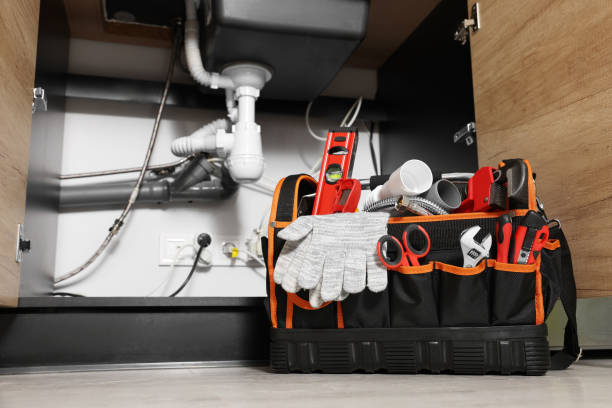 Best 24-Hour Plumber Near Me  in Lecanto, FL
