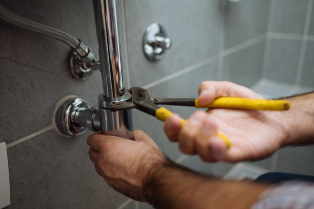 Best Plumbing Inspection Services  in Lecanto, FL